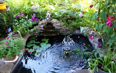 pond with fontain